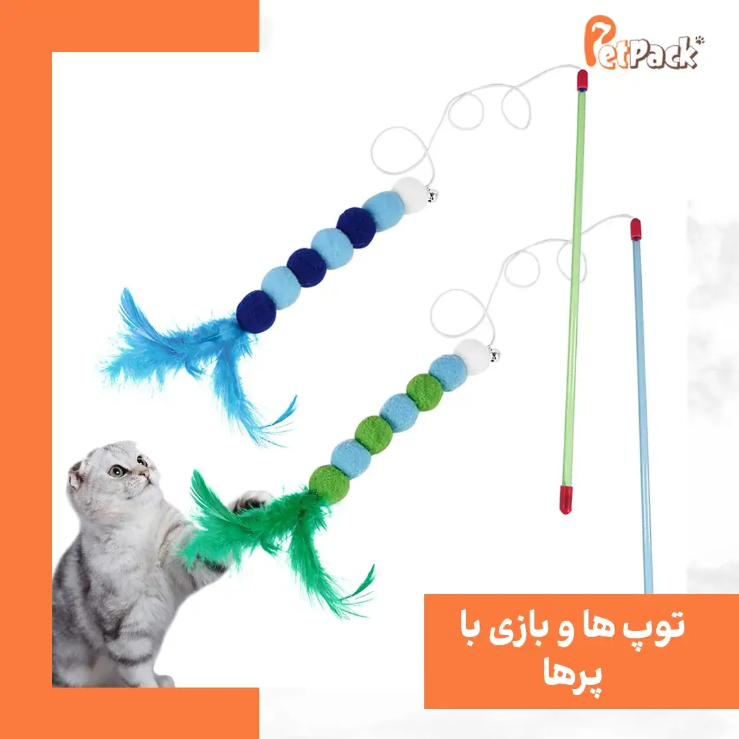 اسباب بازی توپ و پر برای گربه