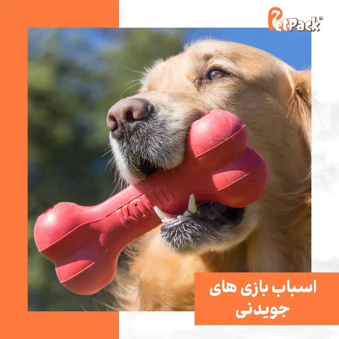 اسباب بازی جویدنی برای سگ
