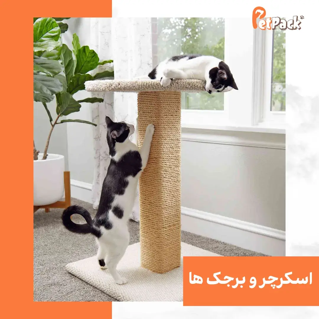 اسکرچر و برجک گربه