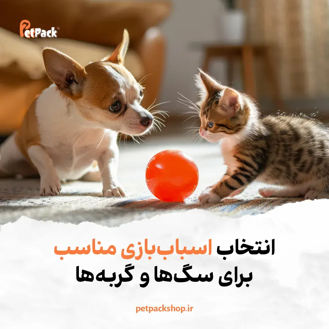 اسباب بازی مناسب برای سگ ها و گربه ها