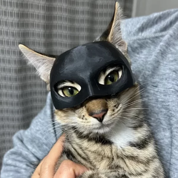 خرید ماسک بتمن برای گربه | پت پک
