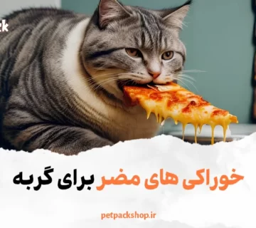 خوراکی های مضر برای گربه