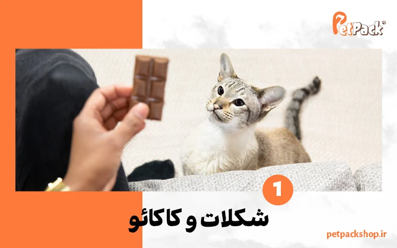 خوراکی های مضر برای گربه | شکلات و کاکائو
