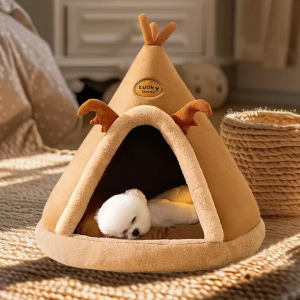 جای خواب سرخپوستی سگ