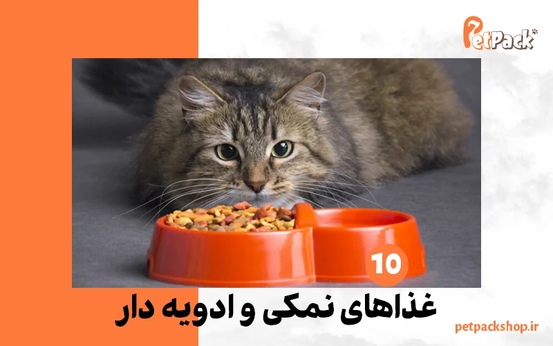 خوراکی های مضر برای گربه | غذاهای نمکی و ادویه دار