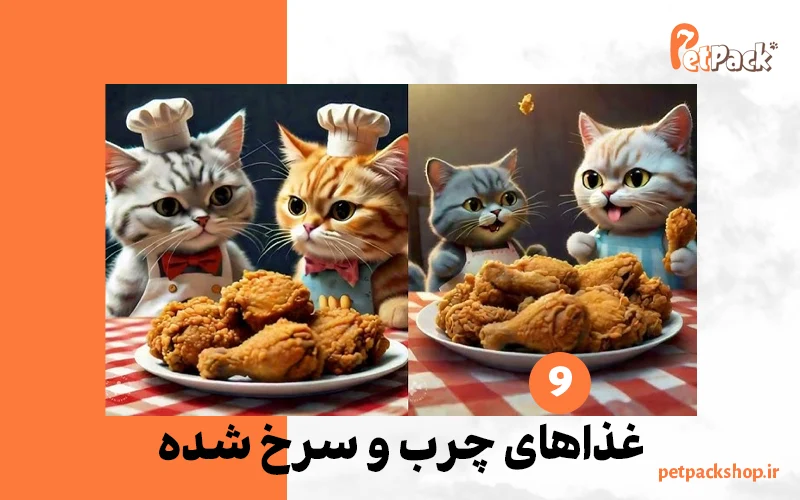 خوردن غذای چرب و سرخ شده توسط گربه