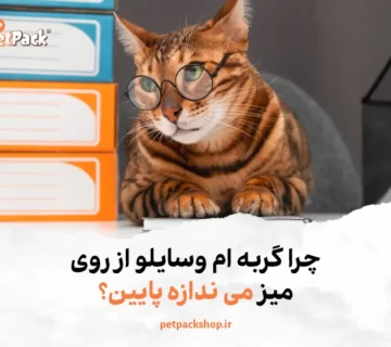 چرا گربه ام وسایلو از روی میز می ندازه پایین؟