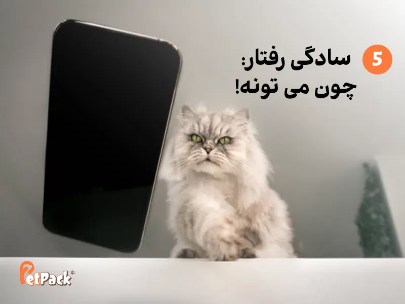 چرا گربم وسایلو میندازه