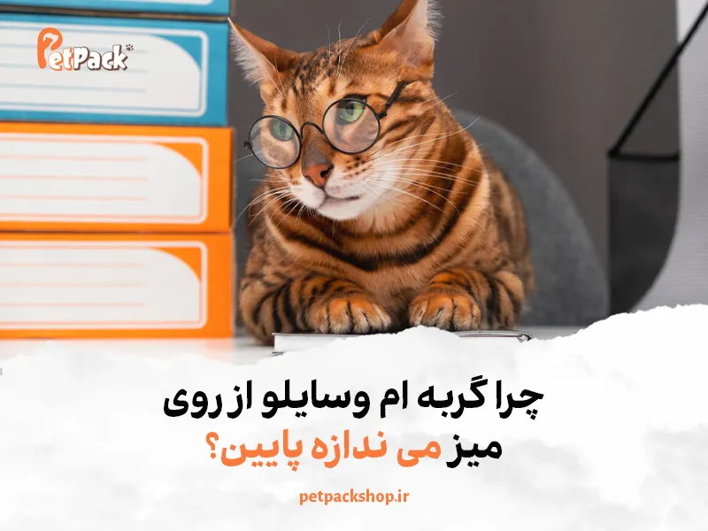 چرا گربه ام وسایلو از روی میز می ندازه پایین؟