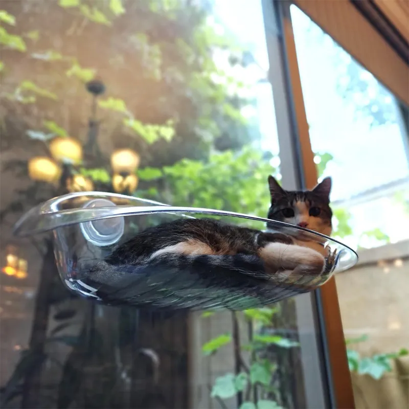 جای خواب پنجره ای گربه | پت پک