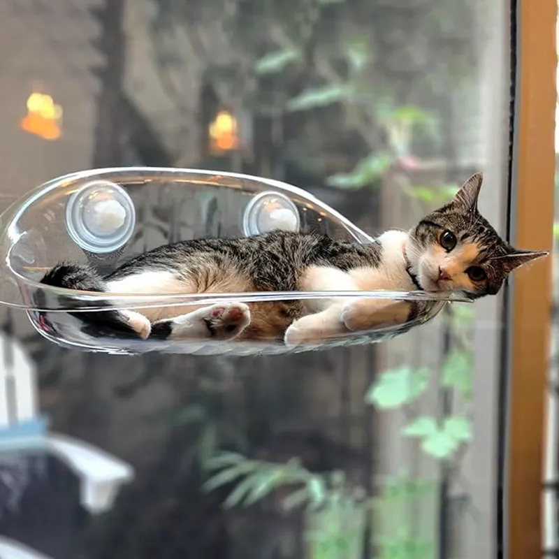 جای خواب پنجره ای گربه