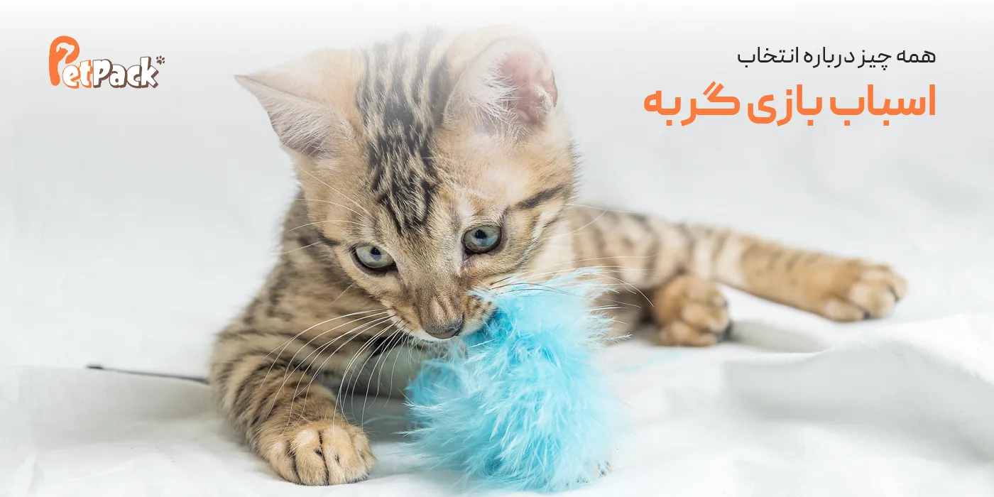 اسباب بازی گربه