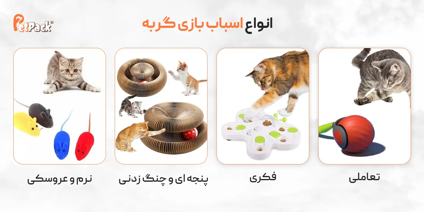 انواع اسباب بازی گربه