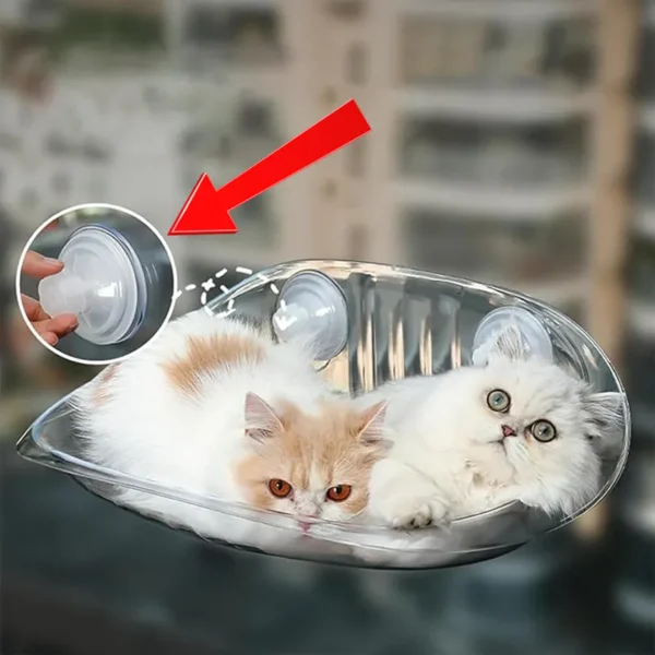 مکنده جای خواب پنجره ای گربه