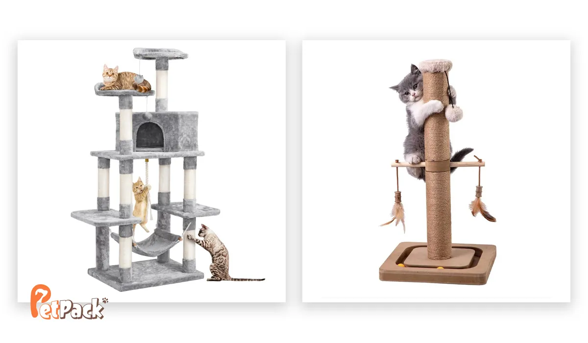 اسکرچر و درخت گربه