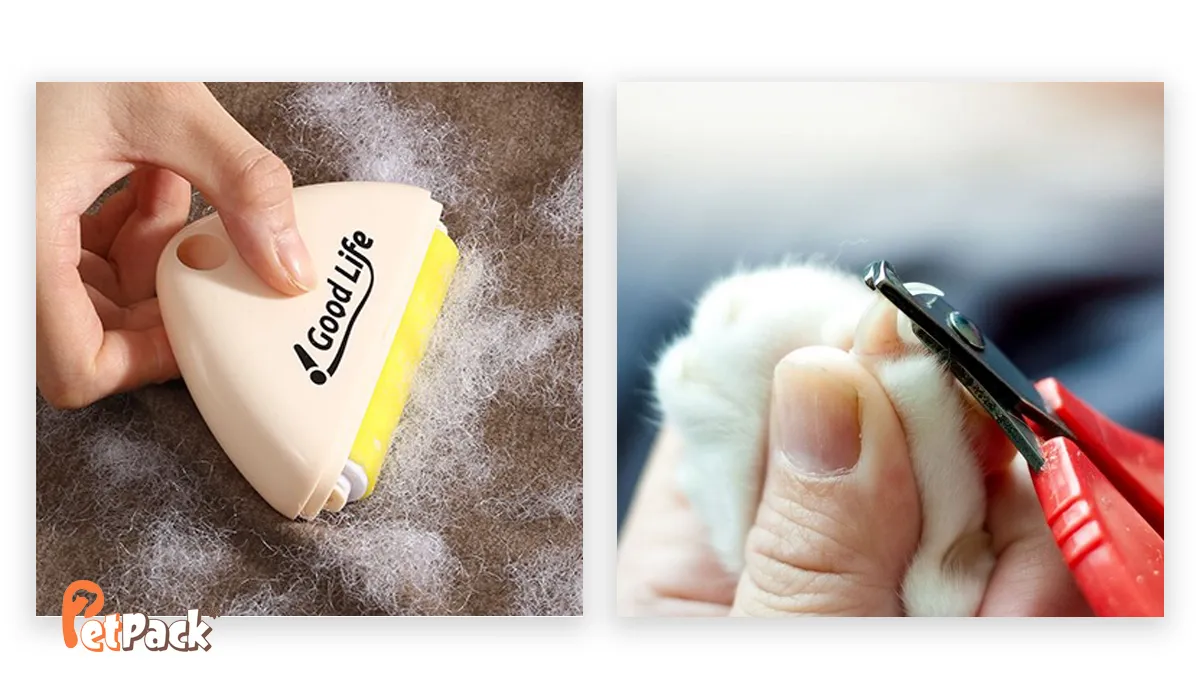 ناخن گیر و پرزگیر گربه