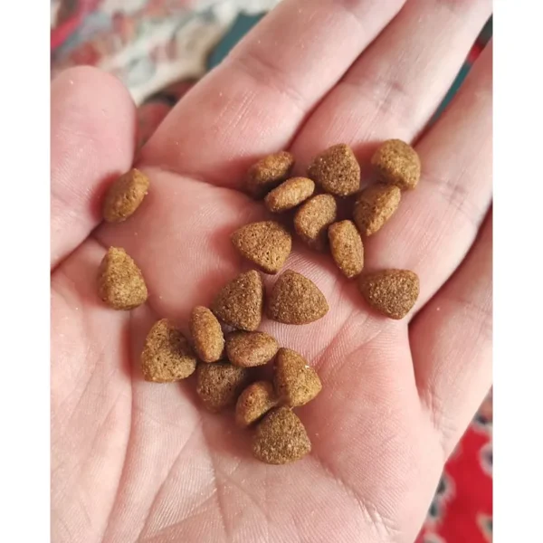 غذای گربه بالغ فیدار مدل adult