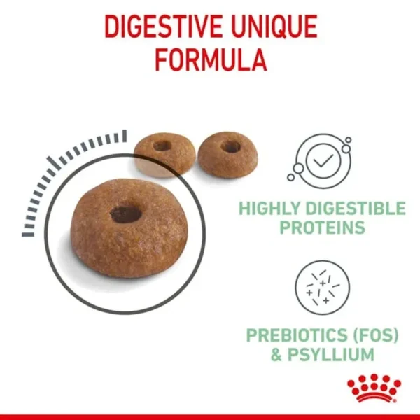 غذای خشک گربه رویال کنین مدل Digestive Care